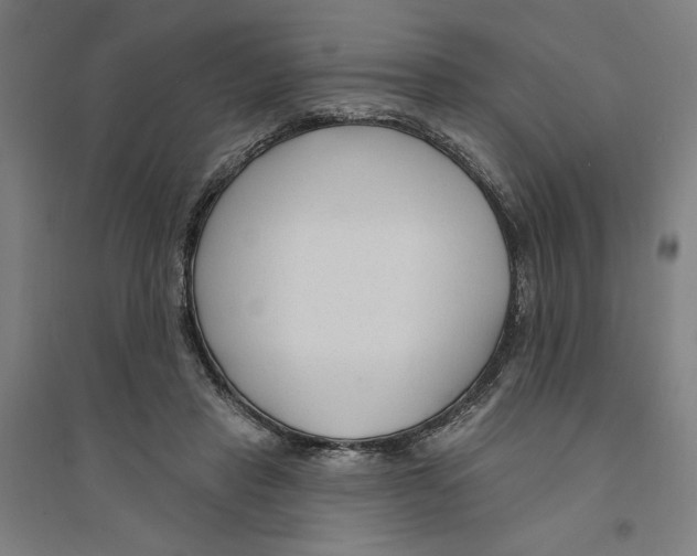 X0000094350453200711301406