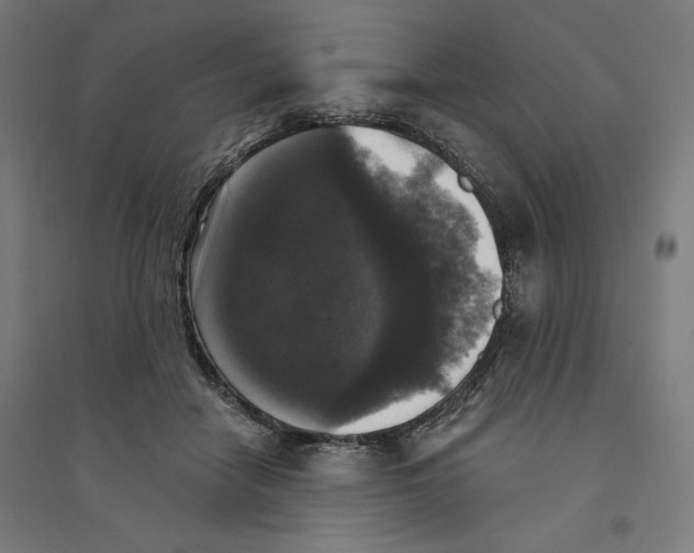X0000094350458200711301406