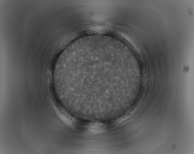 X0000094350459200711301406