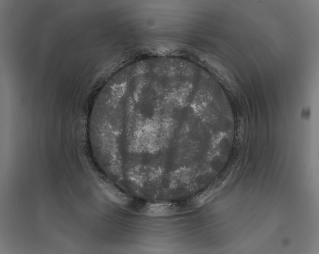 X0000094350461200711301406