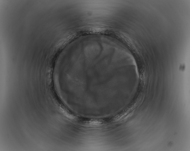 X0000094350462200711301406