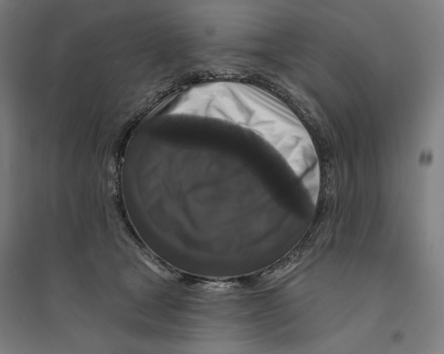 X0000094350465200711301406