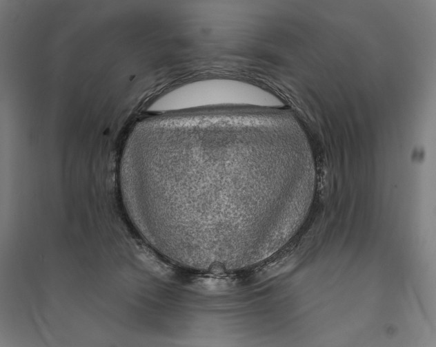 X0000094350466200711301406