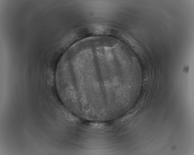 X0000094350469200711301406