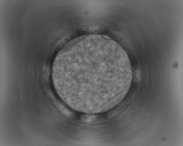 X0000094350472200711301406