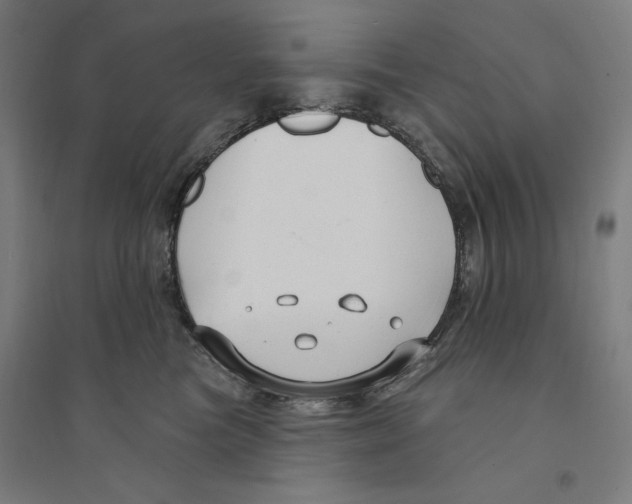 X0000094350473200711301406