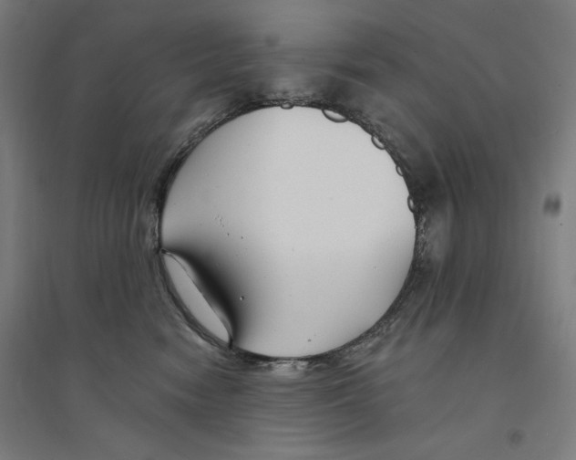 X0000094350474200711301406