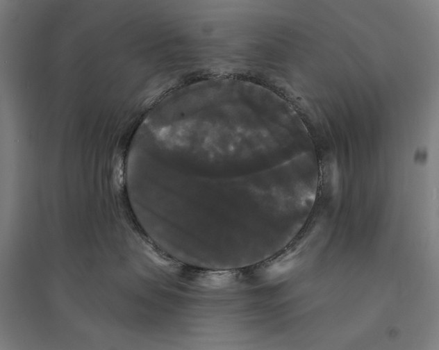 X0000094350479200711301406