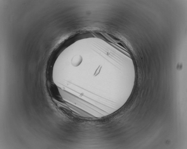 X0000094350482200711301405