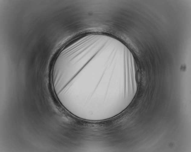 X0000094350486200711301405