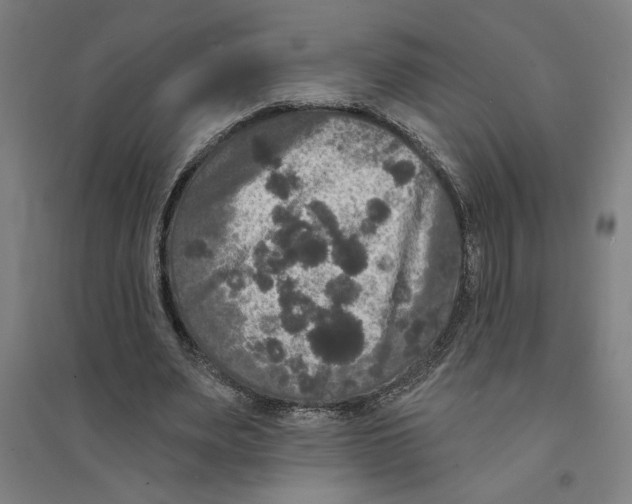 X0000094350487200711301405