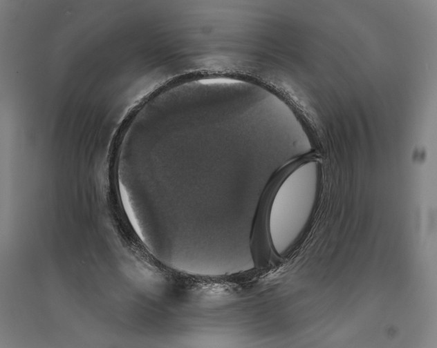 X0000094350488200711301405
