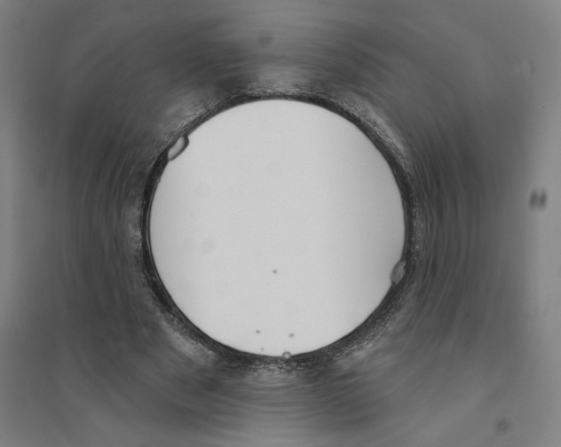X0000094350489200711301405