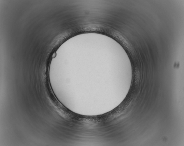 X0000094350490200711301405