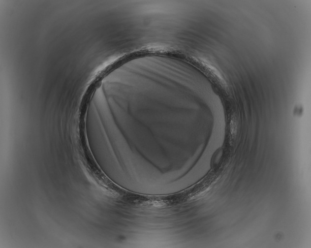 X0000094350492200711301405