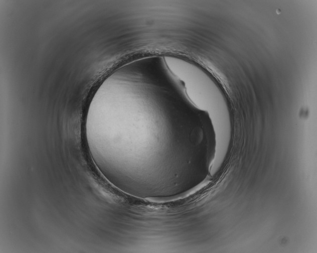 X0000094350493200711301405