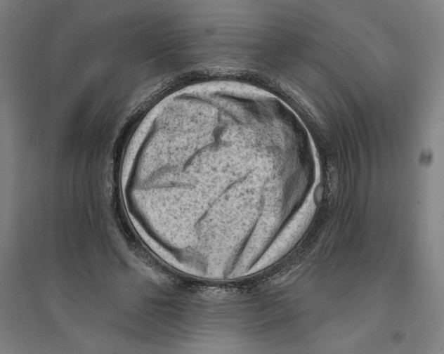 X0000094350494200711301405