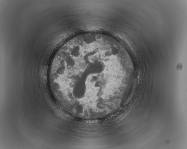 X0000094350495200711301405