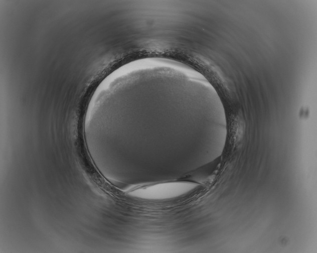 X0000094350496200711301405