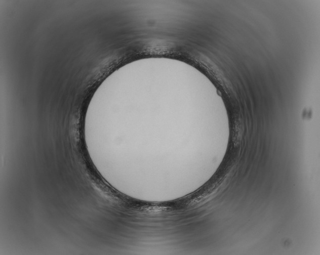 X0000094350497200711301405