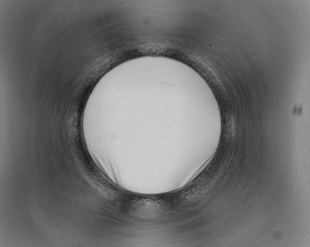 X0000094350498200711301405