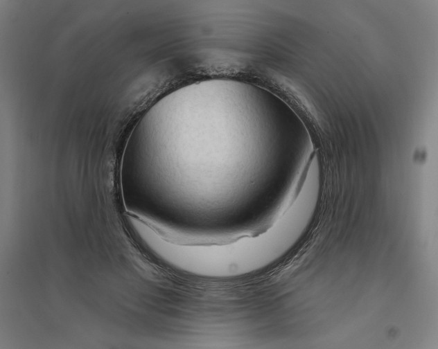 X0000094350501200711301405