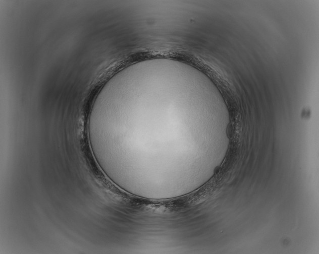 X0000094350502200711301405