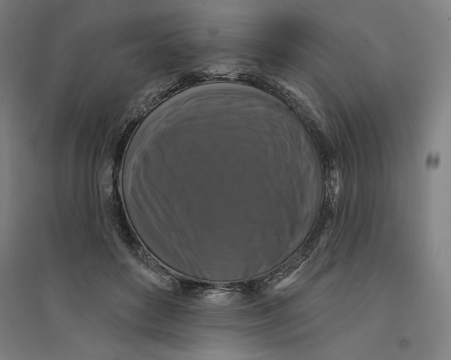 X0000094350504200711301405