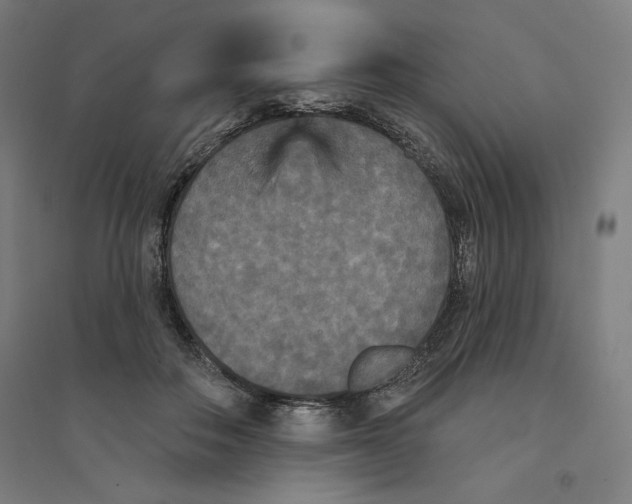 X0000094350506200711301405