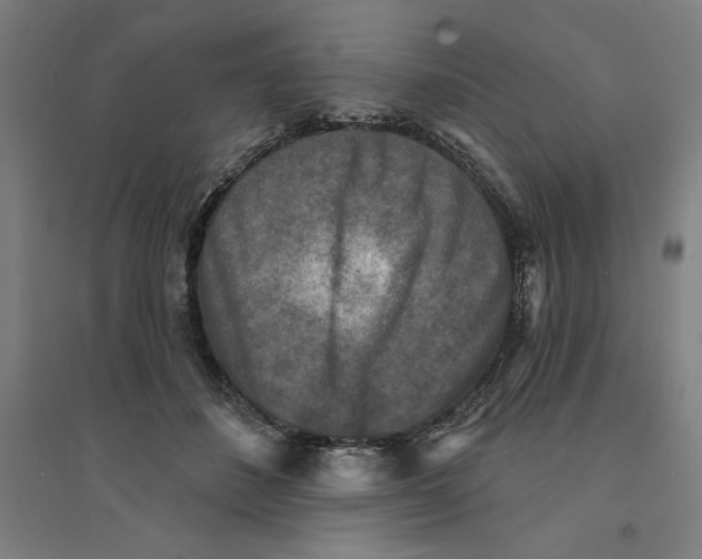 X0000094350508200711301405
