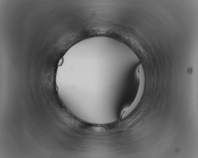 X0000094350509200711301405