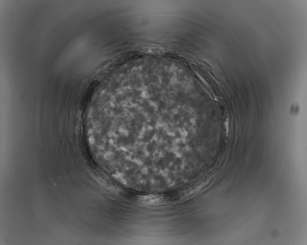 X0000094350511200711301405