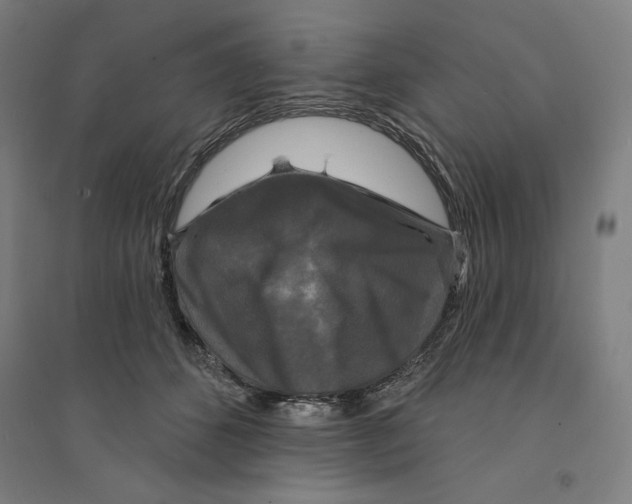 X0000094350512200711301405