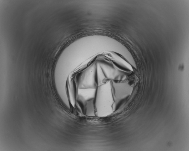 X0000094350516200711301405