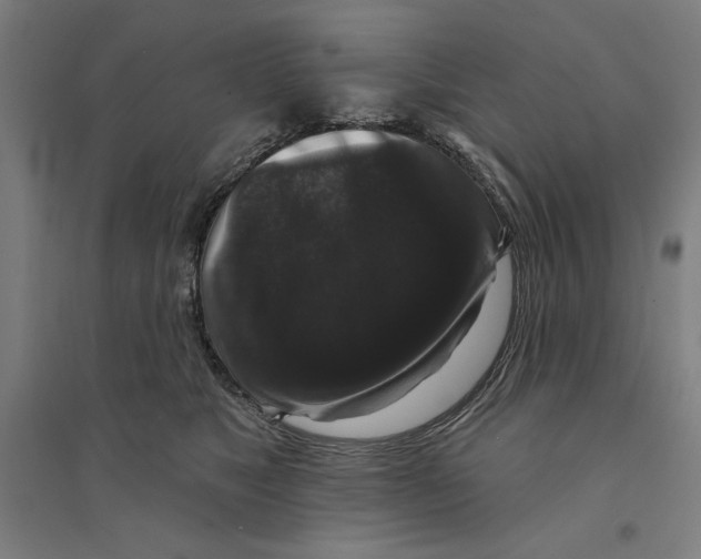 X0000094350517200711301405