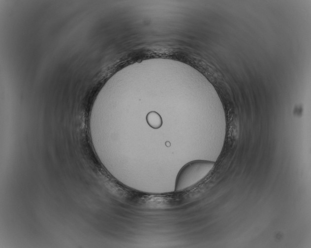 X0000094350518200711301405