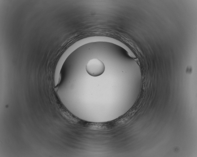X0000094350521200711301405