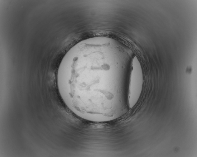 X0000094350523200711301405