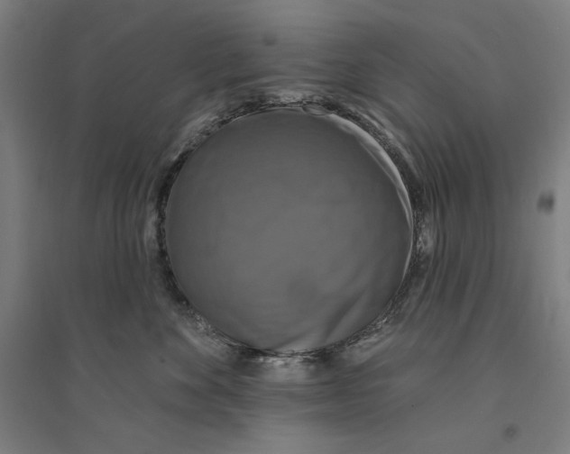 X0000094350524200711301405
