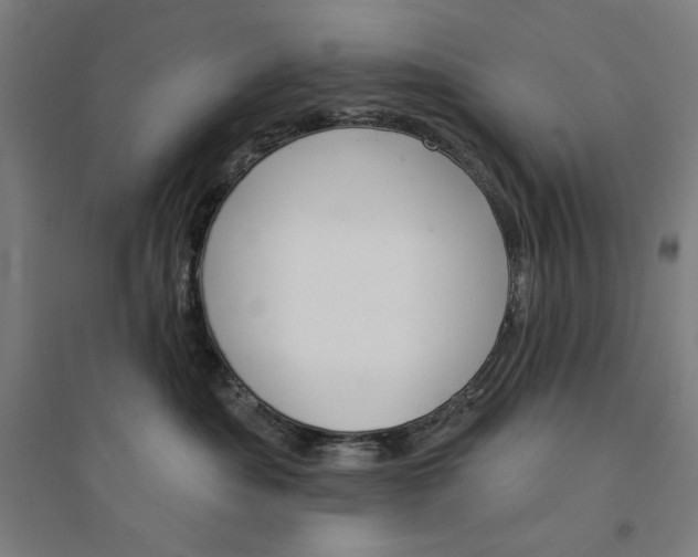 X0000094350525200711301405
