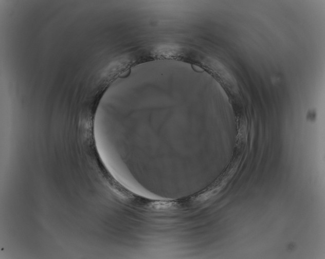 X0000094350526200711301405