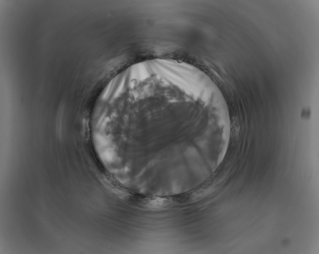 X0000094350527200711301405