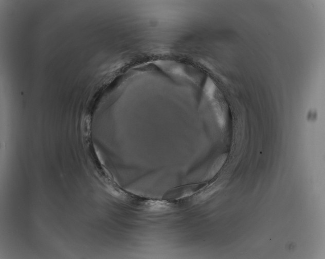 X0000094350528200711301405
