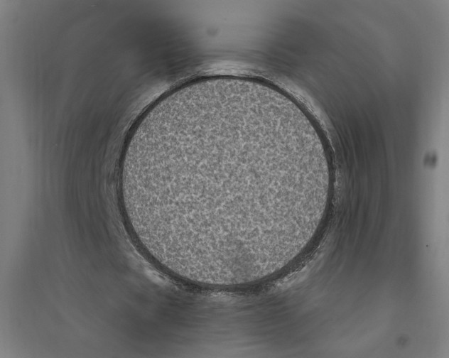 X0000094350529200711301404