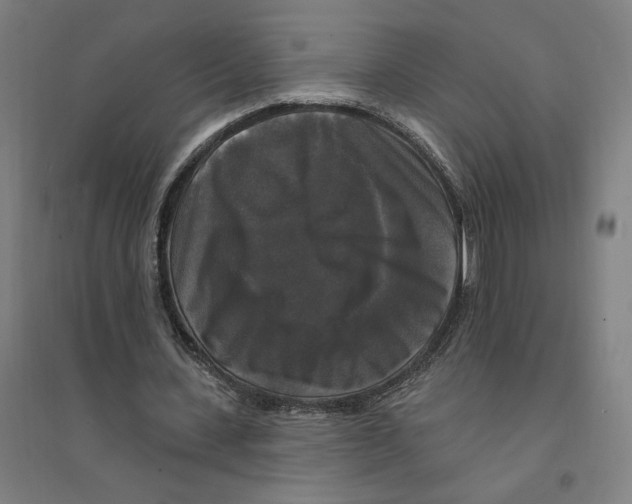 X0000094350531200711301404