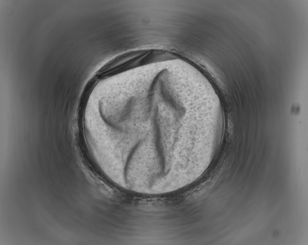 X0000094350532200711301404