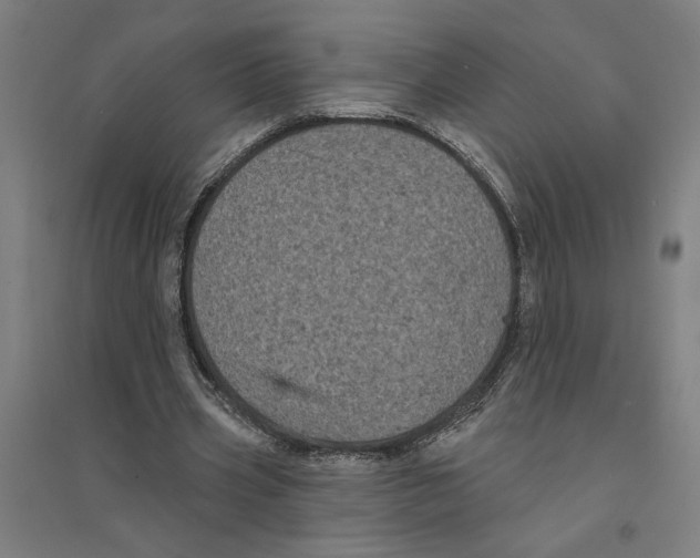 X0000094350533200711301404