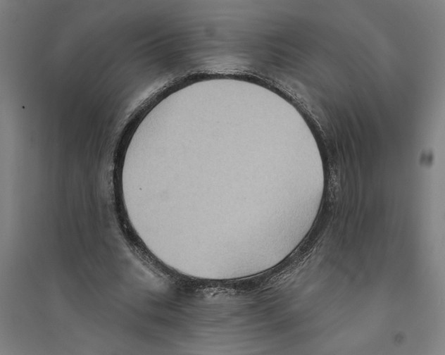 X0000094350535200711301404
