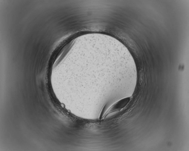X0000094350536200711301404