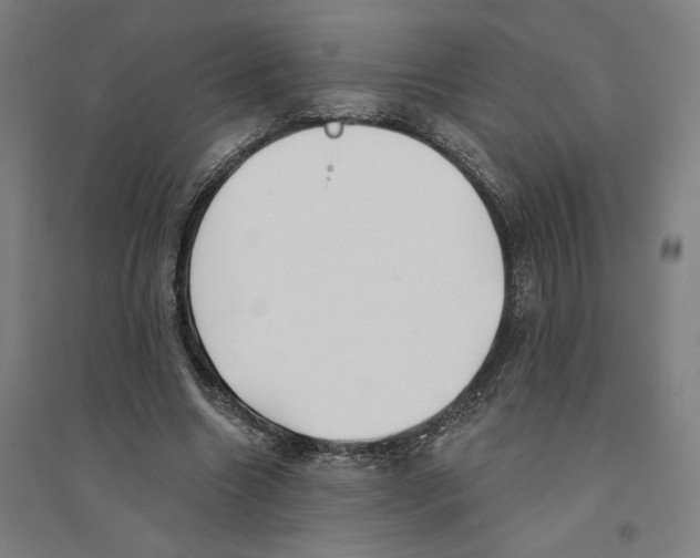 X0000094350538200711301404
